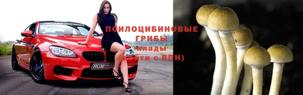 apvp Армянск