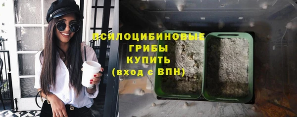 apvp Армянск