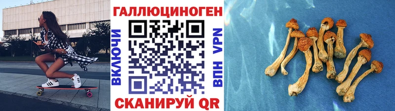 Псилоцибиновые грибы ЛСД  ссылка на мегу зеркало  Кирово-Чепецк  где купить наркотик 